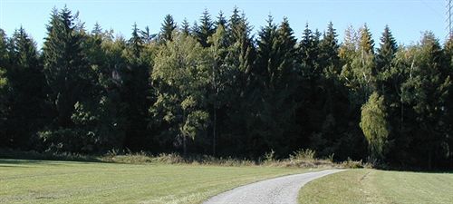 Hotel Am Bad-Wald Бад-Либенцелль Экстерьер фото