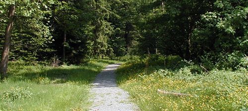 Hotel Am Bad-Wald Бад-Либенцелль Экстерьер фото